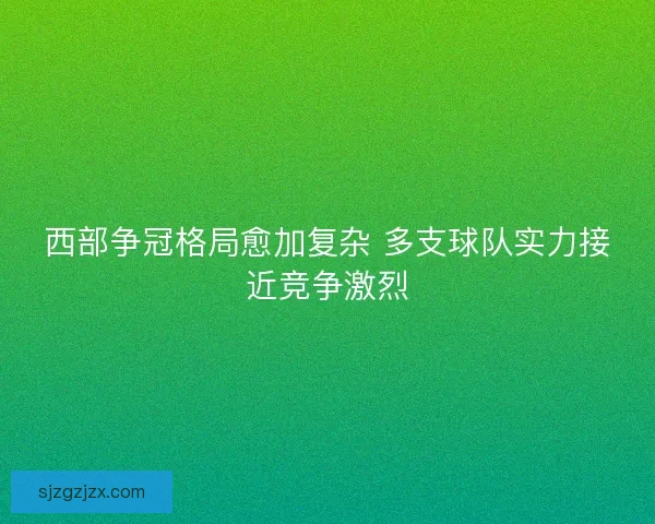 西部争冠格局愈加复杂 多支球队实力接近竞争激烈
